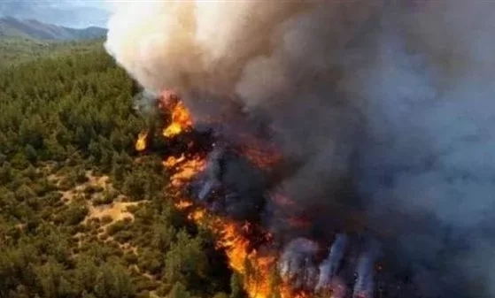 باحثون يكشفون عن "علاقة الحرائق بزيادة إصابات ووفيات كورونا" 1