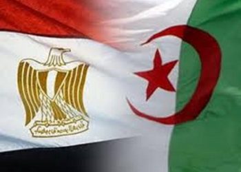 علم مصر الجزائر