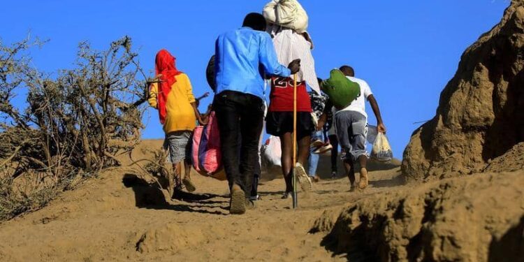 الأمم المتحدة: الوضع الإنساني في تيجراي الإثيوبي كارثي 1