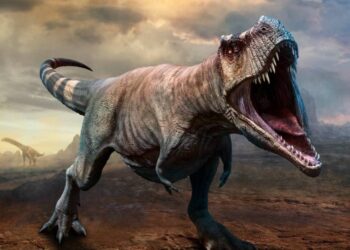 اكتشاف جلد متحجر يوضح شكل ديناصورات نادرة آكلة للحوم 1