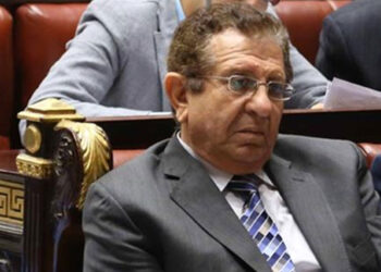 برلماني: مصر تدعم العراق في شتى المجالات 3