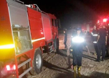 السيطرة على حريق فى أشجار بجوار إحدى المدارس بطنطا 1