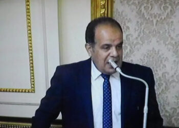 برلماني: عودة العمالة المصرية للدول العربية يؤثر على الإقتصاد المصري بشكل إيجابي 4