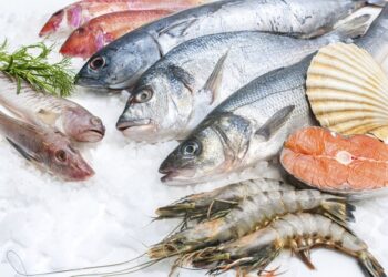 أسعار السمك اليوم الإثنين 20 مايو 2024 في الأسواق