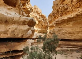 محمية "وادي دجلة" المصرية.. العودة للطبيعة بعيدا عن صخب الحياة 1