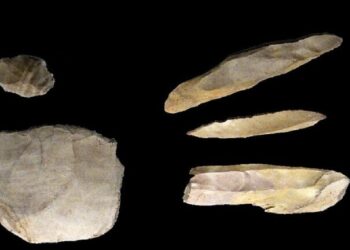 اكتشاف مصنع من العصر الحجري لإنتاج أدوات من العظام 1