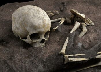 العثور على عظام قديمة تكشف عن أسلاف يابانيين لأول مرة 2