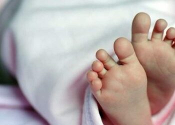 العثور على جثة طفل حديث الولادة داخل المقابر بـ كفر الشيخ 3