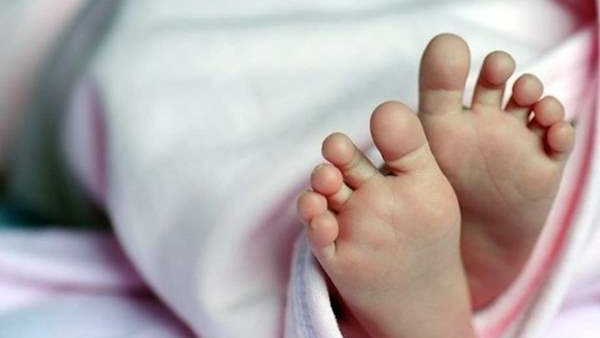 العثور على جثة طفل حديث الولادة داخل المقابر بـ كفر الشيخ 1