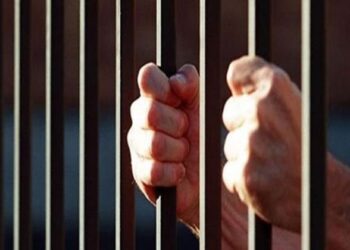 السجن المشدد 3 سنوات للمتهم بالتحرش بفتاة في البساتين 1
