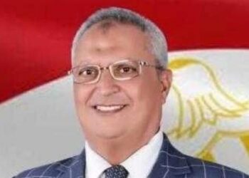 عضو بالشيوخ: مصر تتقدم في تحقيق التنمية المستدامة 5
