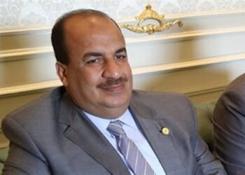 برلماني: صندوق تحيا مصر دعم الأسر الأكثر احتياجا 1