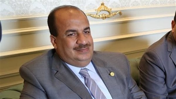 برلماني: صندوق تحيا مصر دعم الأسر الأكثر احتياجا 1