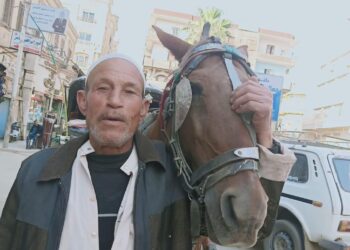 سائق البشوات.. "سيد الطحان" أقدم عربجي حنطور في طنطا يودع الحياة 1