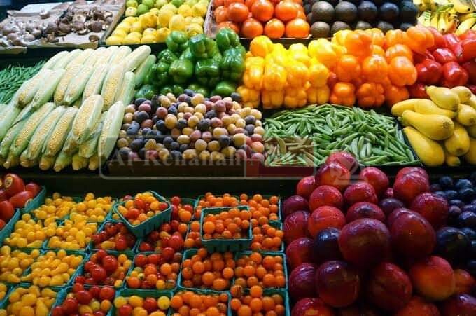 الزراعة: ارتفاع صادرات مصر الزراعية إلى أكثر من 4.5 مليون طن 