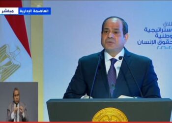 السيسي: مصر من أولى الدول التي صاغت إعلان حقوق الإنسان العالمي 3