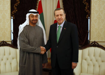 الكهرباء والطاقة كلمة السر.. تطورات جديدة في العلاقات التركية - الإماراتية   8