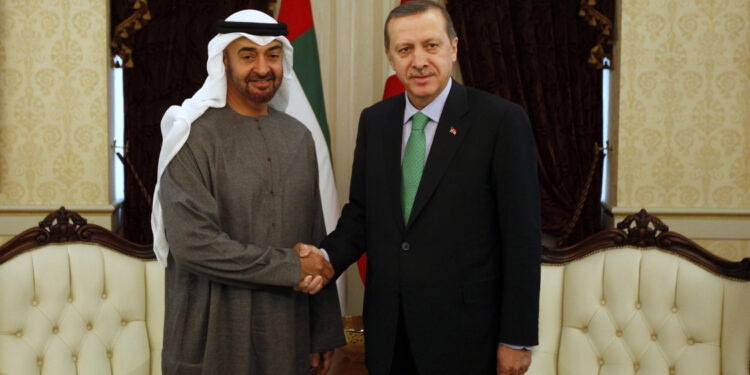 الكهرباء والطاقة كلمة السر.. تطورات جديدة في العلاقات التركية - الإماراتية   1