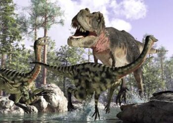 اكتشاف هام لدى ديناصور عمره 125 مليون عام! 3