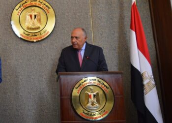 وزير الخارجية يؤكد ثقة مصر في الجانب الكونغولي لإدارة ملف سد النهضة