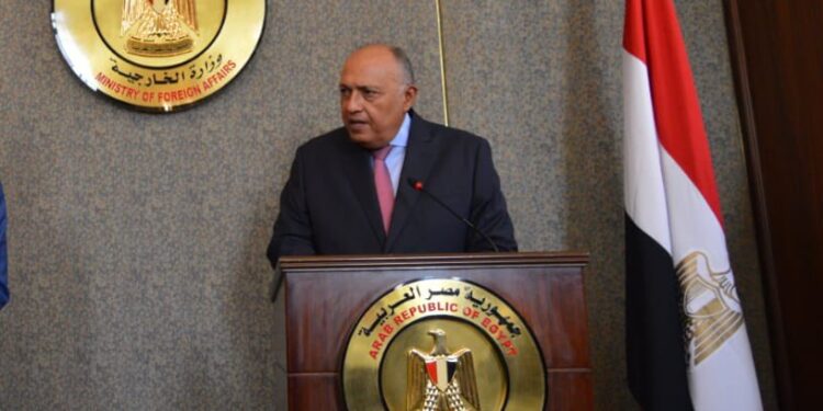 وزير الخارجية يؤكد ثقة مصر في الجانب الكونغولي لإدارة ملف سد النهضة