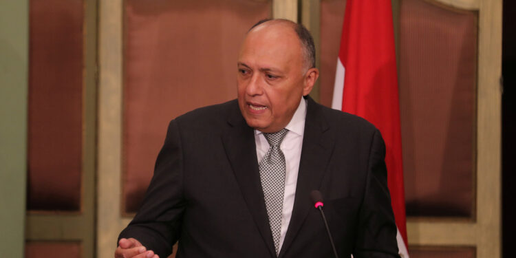 قمة مصرية - روسية مرتقبة بين وزيري الخارجية لبحث الوضع في الشرق الأوسط 1