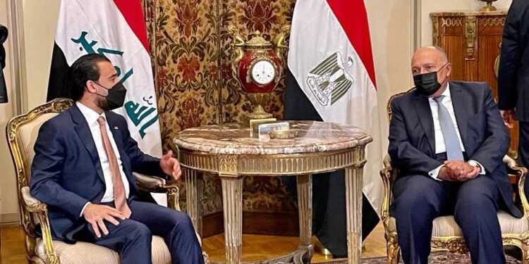 وزير الخارجية يستقبل رئيس النواب العراقي 1
