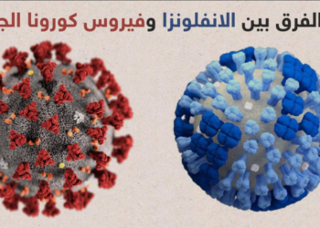 مع اقتراب فصل الشتاء.. كيف تفرق بين أعراض الأنفلونزا وكورونا 2