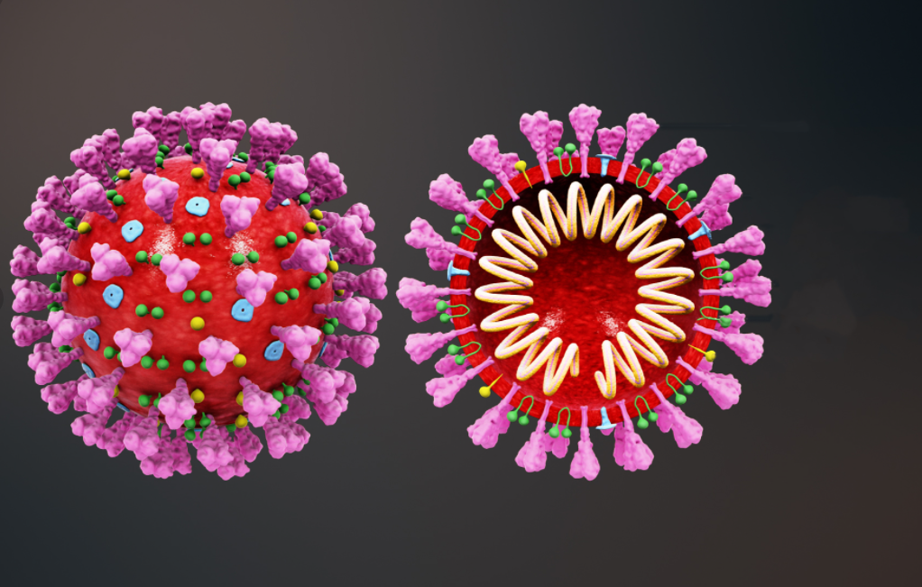 مع اقتراب فصل الشتاء.. كيف تفرق بين أعراض الأنفلونزا وكورونا 2