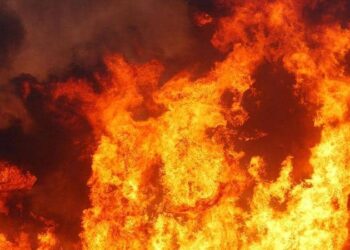 السيطرة على حريق مخلفات داخل مزرعة بطريق إسكندرية الصحراوي دون إصابات 4