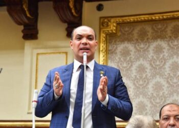 برلماني: المصريين بالخارج لهم دورًا تاريخيًا تجاه قضايا بلدهم 3