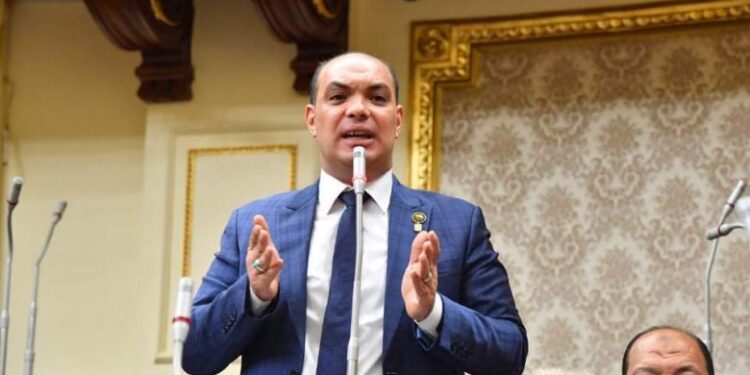 برلماني: المصريين بالخارج لهم دورًا تاريخيًا تجاه قضايا بلدهم 1