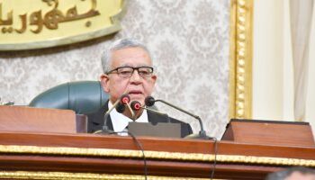 مجلس النواب يوافق لوزير المالية بضمان الشركة القابضة لـ «مصر للطيران» 4