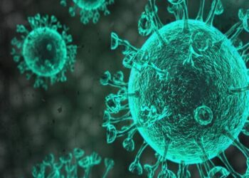 الصحة: تسجيل 902 حالة إيجابية جديدة بفيروس كورونا .. و61 حالة وفاة 5
