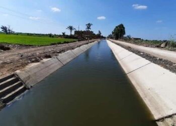 استمرار الحملات الموسعة لإزالة التعديات علي نهر النيل والمجارى المائية 1