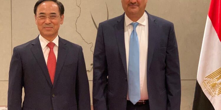 سفير مصر بكوريا الجنوبية يستقبل المدير التنفيذي لشركة هيونداي