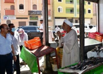 «بمناسبة المولد النبوي».. محافظ أسوان يُقيم أول سوق سياحي متكامل للأسماك 1