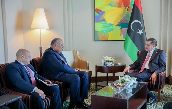 رئيس حكومة الوحدة الوطنية يلتقي وزير الخارجية المصري 1