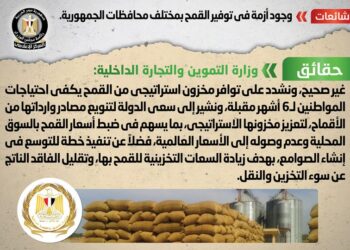 الحكومة توضح حقيقة وجود أزمة في توفير القمح بمختلف محافظات الجمهورية 1