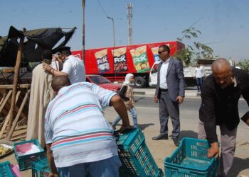 مصادرة 270 مضبوطات فى حملة مرافق مكبرة ورفع إشغالات شوارع أخميم