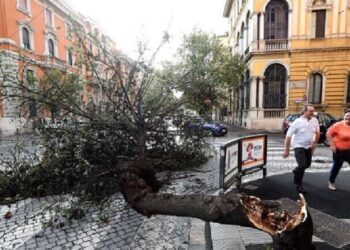 بسبب سوء الأحوال الجوية| إيطاليا تغلق المدارس والمنتزهات 6