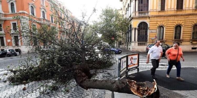 بسبب سوء الأحوال الجوية| إيطاليا تغلق المدارس والمنتزهات 1