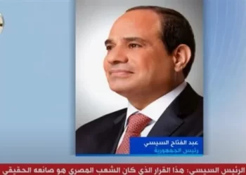 ضياء رشوان: الرئيس السيسي أعطى توجيهات بإتاحة الفرصة للمراسلين الأجانب في مصر 1