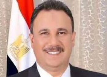 برلماني: سياسة مصر الخارجية اختلفت في عهد الرئيس السيسي 1