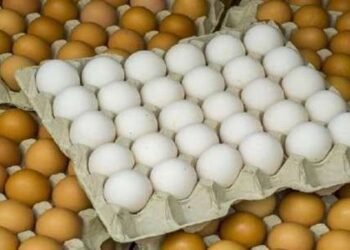 التموين: انخفاض أسعار البيض خلال أسبوع.. ولدينا مخزون استراتيجي في السلع| فيديو