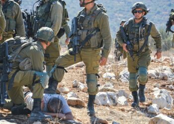 في موسم قطف الزيتون في فلسطين.. انتهاكات مستمرة من جنود الاحتلال ضد مزارعو الضفة الغربية
