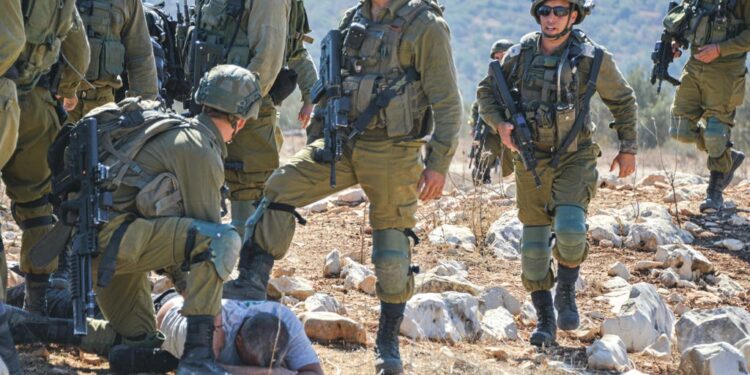 في موسم قطف الزيتون في فلسطين.. انتهاكات مستمرة من جنود الاحتلال ضد مزارعو الضفة الغربية