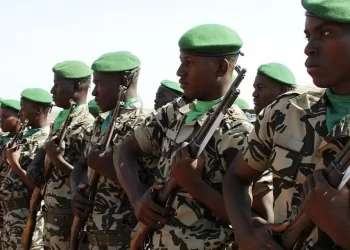 مقتل 16 عسكرياً في هجوم بوسط مالي 1