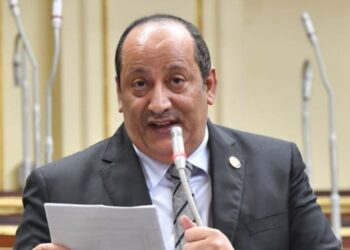 برلماني: الدولة المصرية تتعامل مع وباء كورونا بمهنية عالية 5