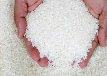 التحفظ على 2 طن أرز مجهول المصدر وضبط صاحب مستودع باع الإسطوانات في السوق السوداء بسوهاج 9
